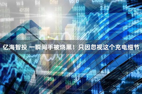 亿海智投 一瞬间手被烧黑！只因忽视这个充电细节