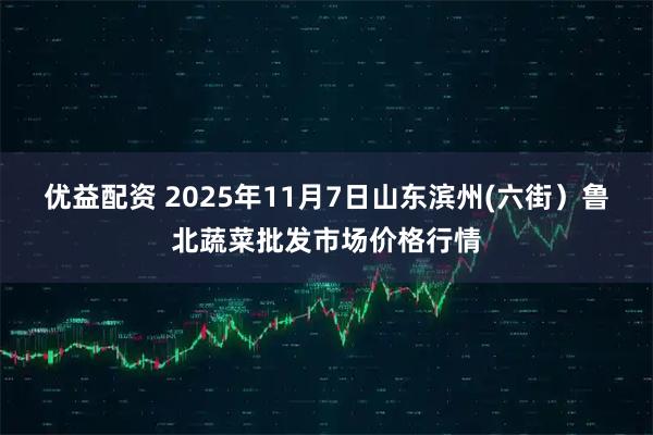 优益配资 2025年11月7日山东滨州(六街）鲁北蔬菜批发市场价格行情
