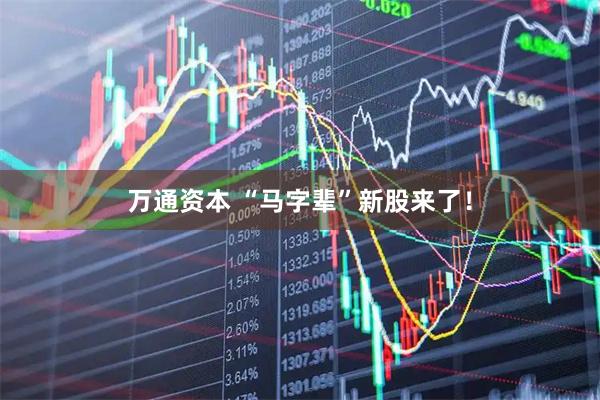 万通资本 “马字辈”新股来了！