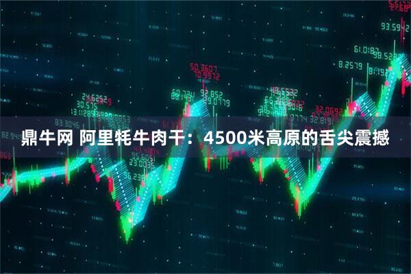 鼎牛网 阿里牦牛肉干：4500米高原的舌尖震撼