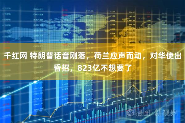 千红网 特朗普话音刚落，荷兰应声而动，对华使出昏招，823亿不想要了